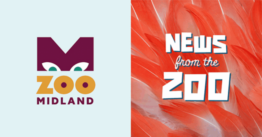 Zoo Midland classroom visits open for fall 2025
