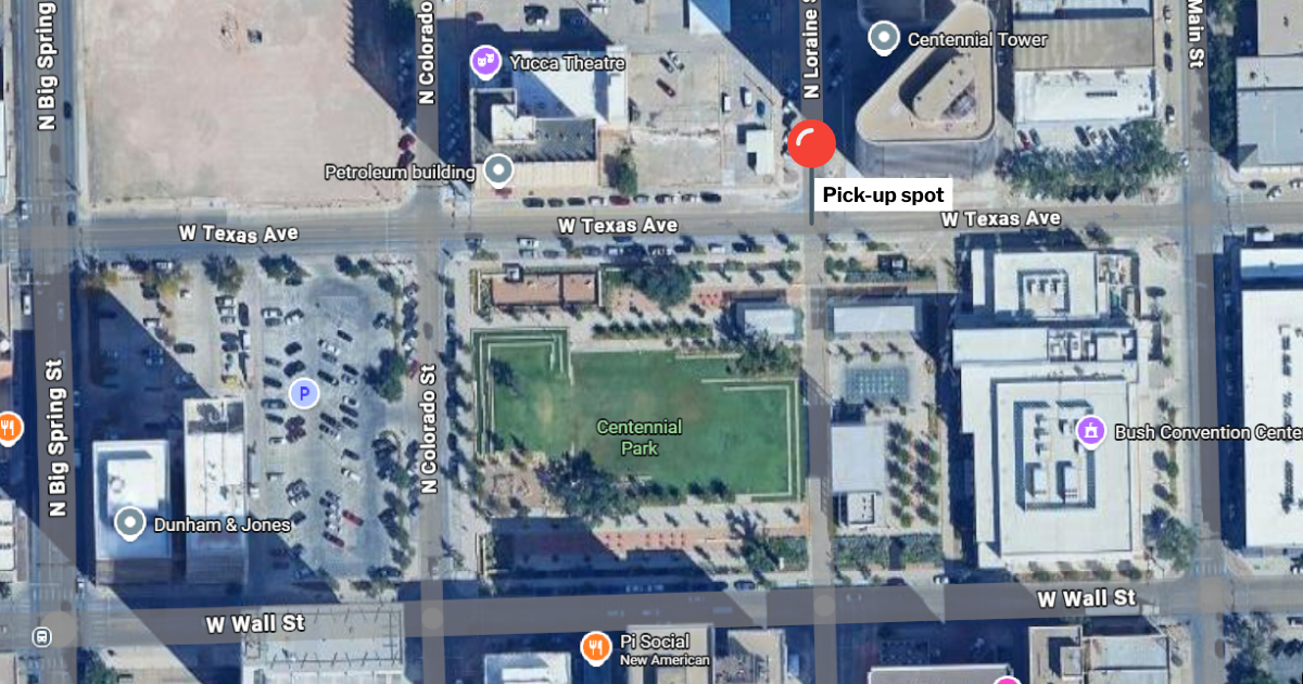 merry lights carriage rides