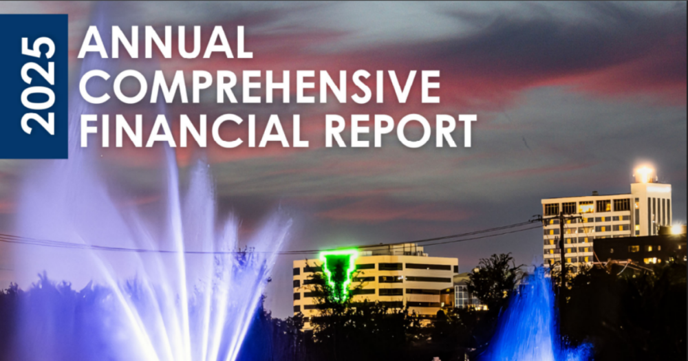 financial report