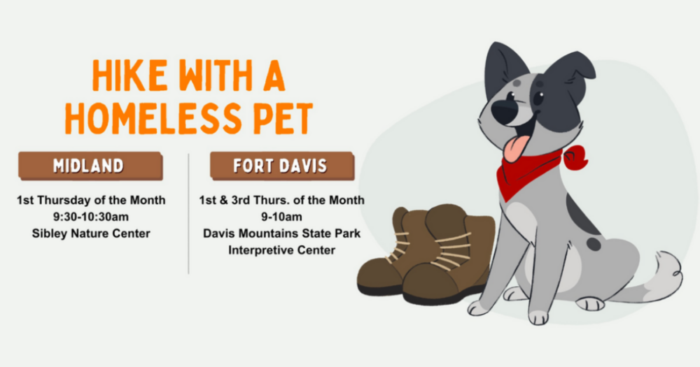 Hike with adoptable shelter pets returns this Thursday