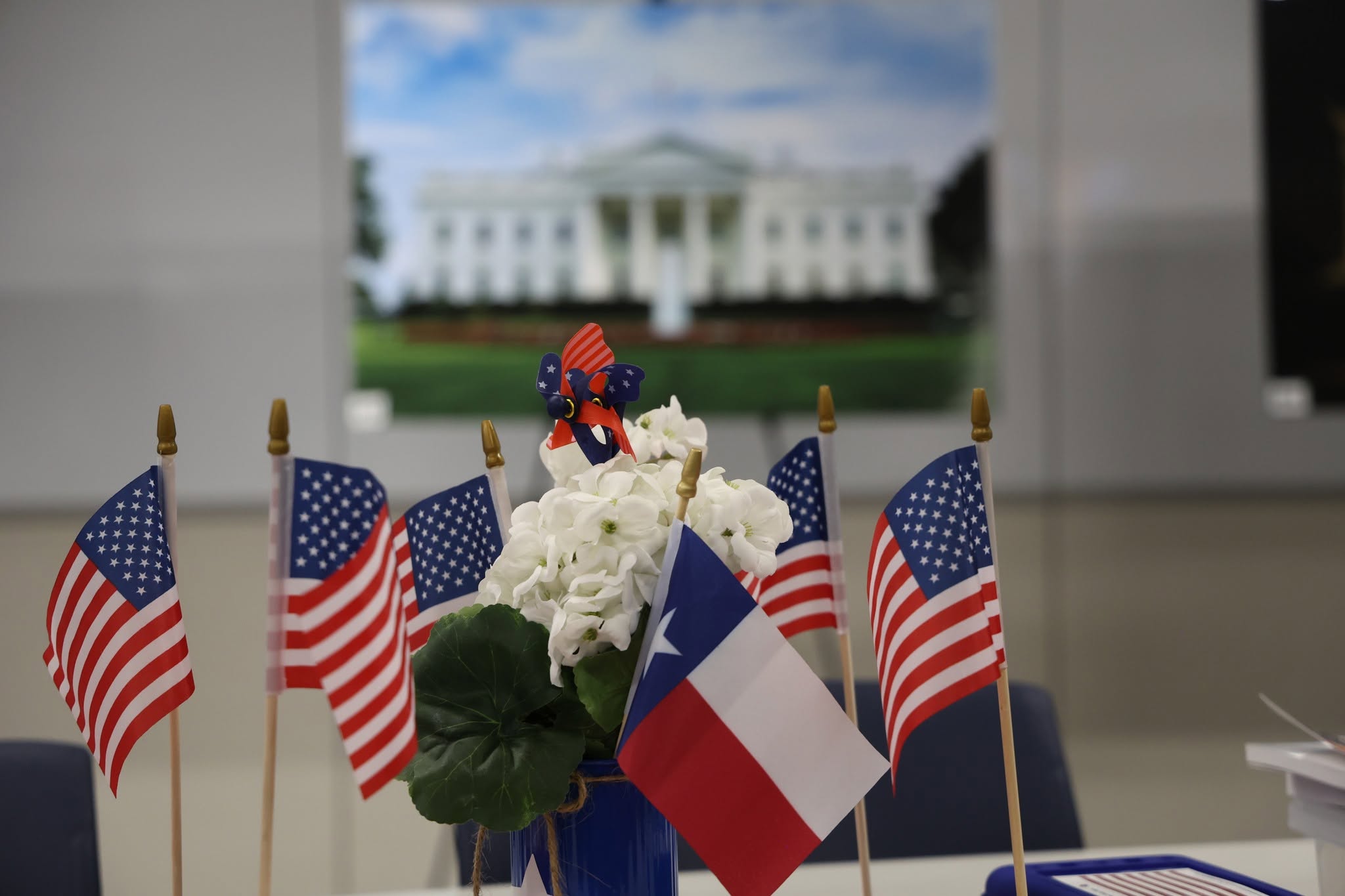 civics training
